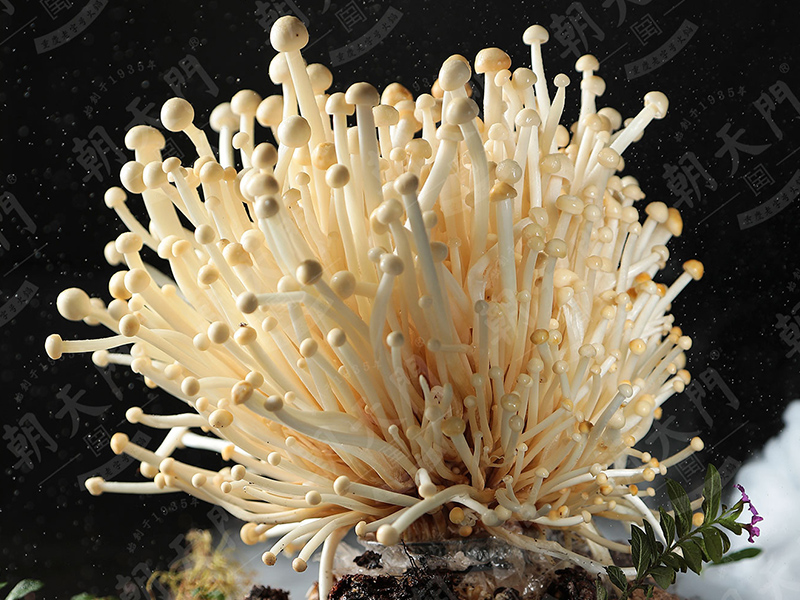 火鍋加盟店常見宣傳技巧有哪些? 火鍋加盟店常見宣傳技巧有哪些?